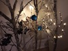 Img 3579