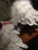 Img 4525